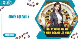 Quyền Lợi Đại Lý RR88 - Cơ Hội Kinh Doanh Có 102