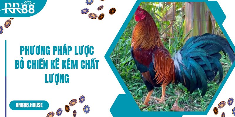 Phương pháp lược bỏ chiến kê kém chất lượng